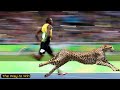 Usain Bolt vs Cheetah  | Similarity in Running Mechanics