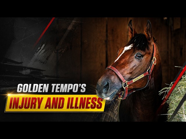 Golden Tempo SHOCKING Illness | Can the Derby Winner Still Win the 2026 Travers Stakes?