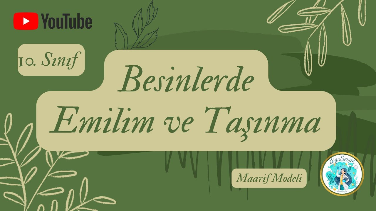 11) 10. SINIF BİYOLOJİ  - İNSANDA SİNDİRİM 3 (Emilim ve Taşınma) 