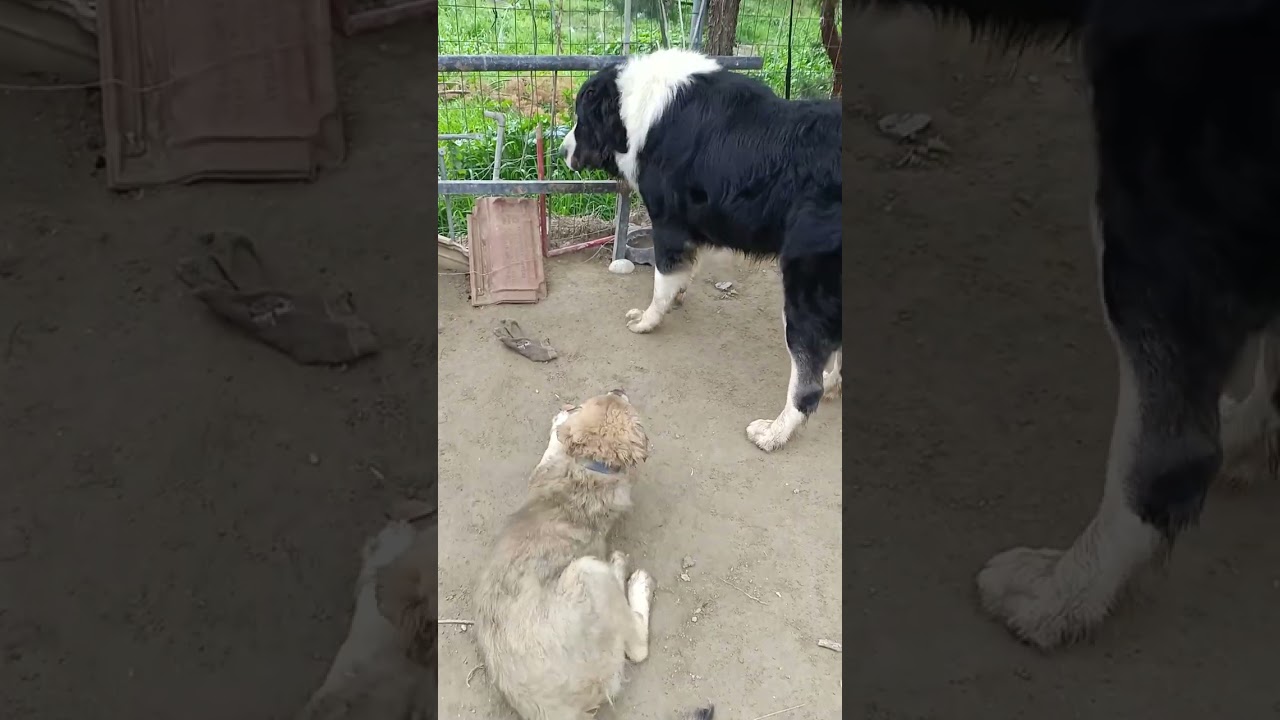 18 Ιανουαρίου 2026