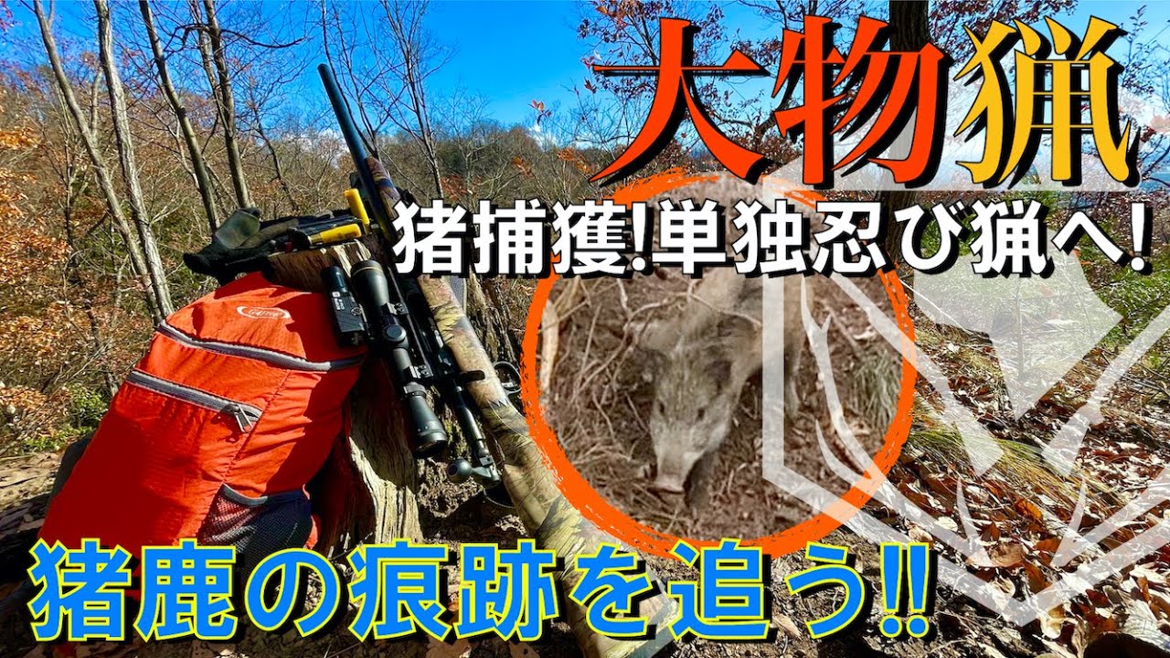 【大物猟】猪捕獲！！そして単独忍び猟へ！！