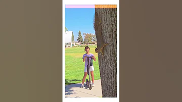 Outdoor Run And Play Before School Starts 