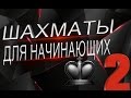 Урок 2. Как поставить Мат? Когда возможна Ничья?