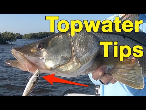 The Best Way To Retrieve Topwater Lures (Plus A Bonus Big Fish Tip