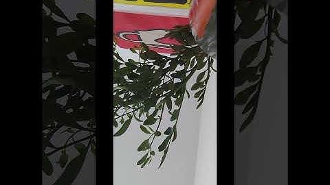 Passo 2 tópico 3 / viemos a acreditar  acesse : @na.org.com.br