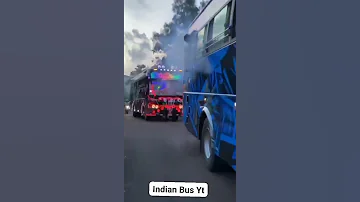 Bus Horn Bus Shorts 