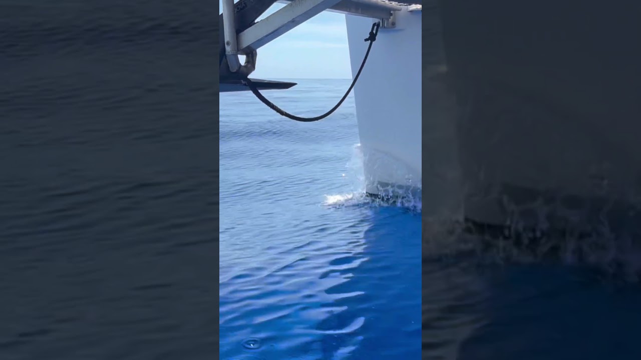 Sailing Over the Atlantic… From UNDER the Boat 🌊 #boatlife #familyadventure #sailingfamily