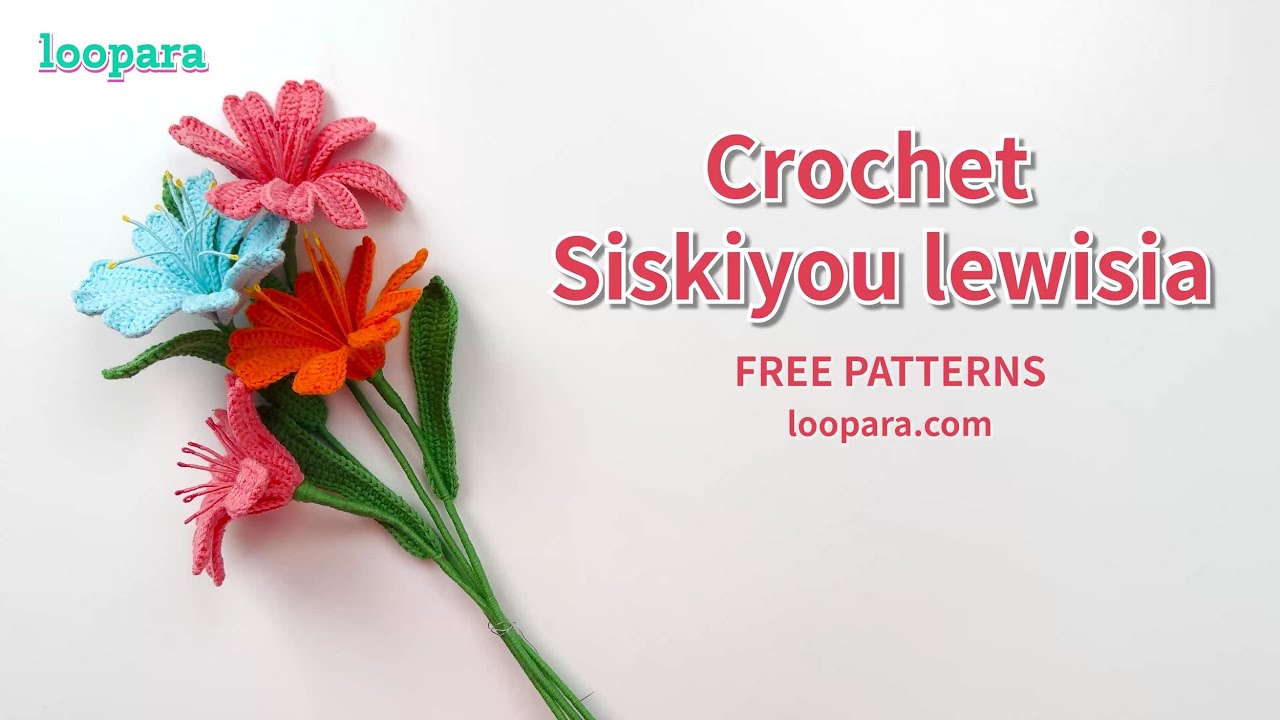 Crochet Siskiyou Lewisia Flower - Free Pattern