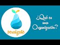 EDUCATIVO #1 - ¿Qué es una organización?