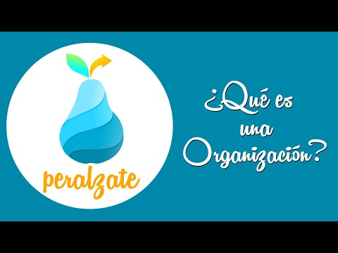 Video: Que Es Una Organizacion