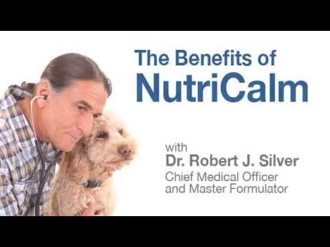 the-great-benefits-of-nutricalm-for-your-pet