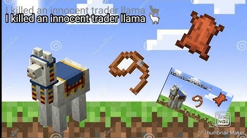 I killed an innocent trader llama 🦙