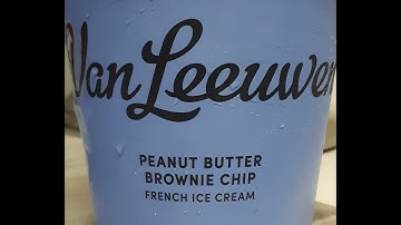 Van Leeuwen Peanut Butter Brownie Chip Ice Cream Tasting