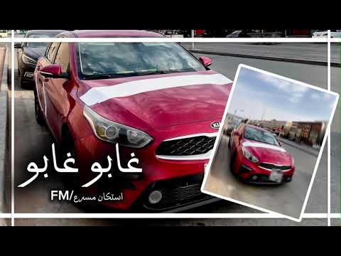 غابو غابو استكنان