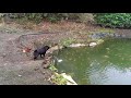 Niele goes fishing
