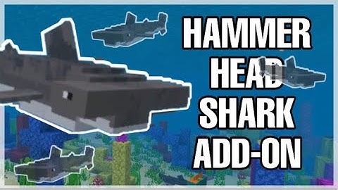 HammerHead Shark Add-on | Minecraft Bedrock (Add-on Showcase)