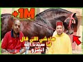 العود البركي اللي سلب عقول الخيالة في المغرب ولقاء مالكه مراد النماوي مع الملك محمد السادس حفضه الله العود البركي اللي سلب عقول الخيالة في المغرب ولقاء مالكه مراد النماوي مع الملك محمد السادس حفضه الله