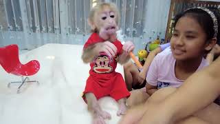 Dangerously, baby monkey Kiti suddenly attacked Bong's sister