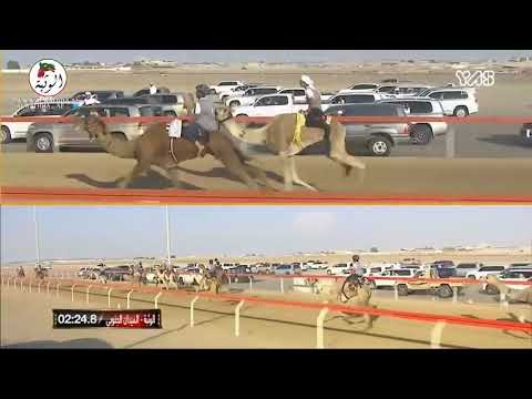 الشوط 10 شاهين ل أحمد راشد سعيد راشد الخاطري 4 46 8 ختامي الوثبة 2021 4 30 السباق التراثي