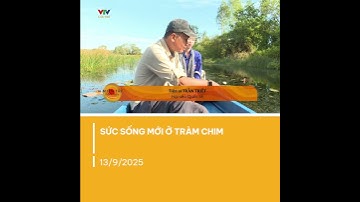 Đồng Tháp Mười xưa sống lại giữa mùa nước nổi | VTV CẦN THƠ - KẾT NỐI MIỀN TÂY
