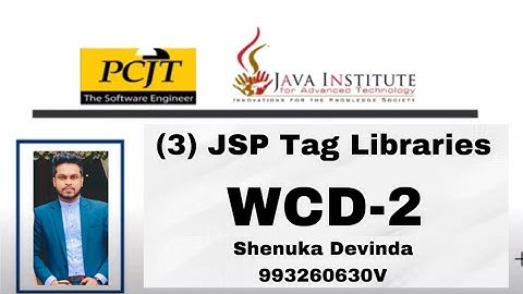 (3) JSP Tag Libraries.