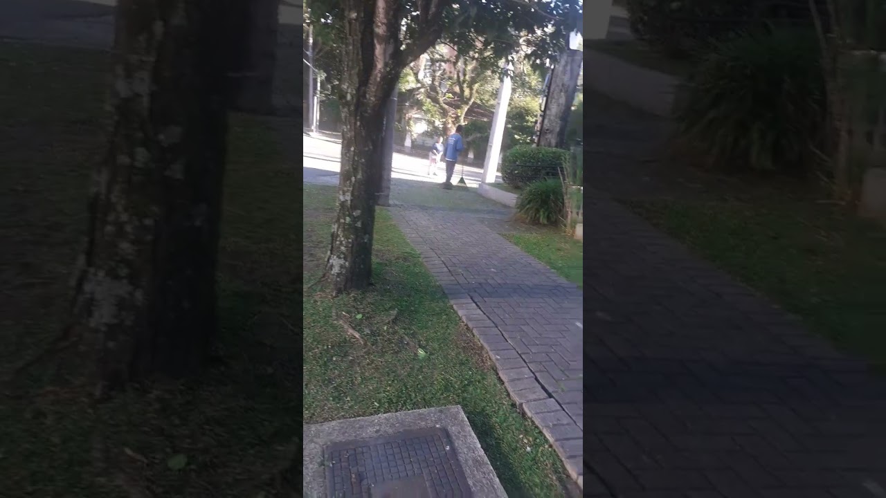 limpezas de jardim no restaurante madero Jerônimo 