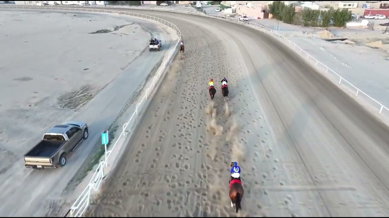 الاجتماع (11)الشوط (5)المركز الاول الجواد زيلوت أسطبل اللامي