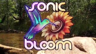 Sonic Bloom 2019 Recap Video: SharedViews Media Group