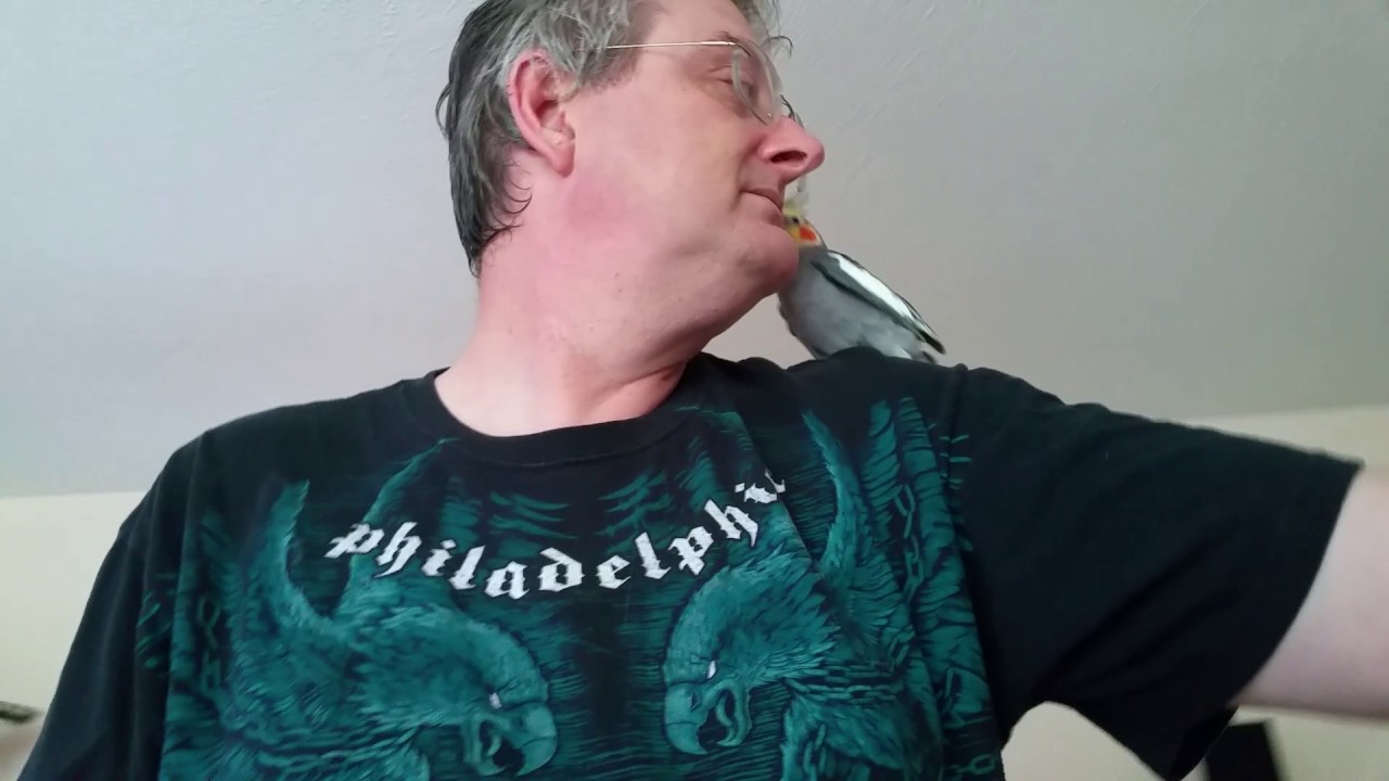 lizard skin grips Birds, lizards and kisses oh my!