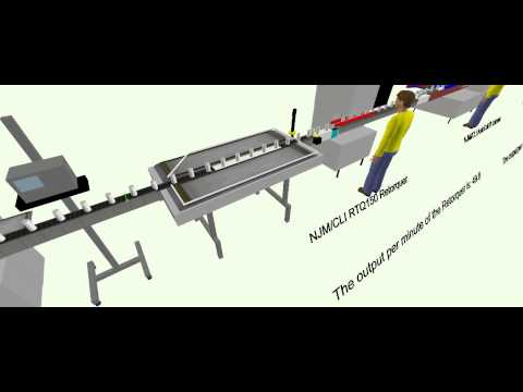 NJM Packaging line simulation with Flexsim