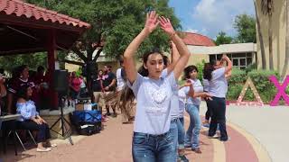 KDChi Yard Show Fall 2017- Texas A&M Kingsville