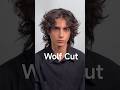 Wolf Cut Shorts Explore mp3