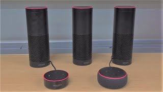 ネットに接続できず発狂するアレクサ達