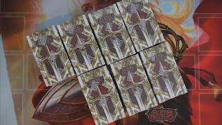 Master Pack Warrior box 2 case 2 lets go