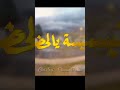 تبسة يالحضارة Extrait 2025 Chamsou Parisien Studio Parisien تبسة يالحضارة Extrait 2025 Chamsou Parisien Studio Parisien