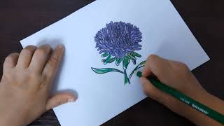 АСМР рисую Астру 🌸 Истории из жизни. Поболтаем перед сном. Шепот. Видео и звуки для сна.