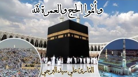 وأتموا الحج والعمرة لله  | القارئ علي سيد البرجي And complete the Hajj and Umrah for Allah