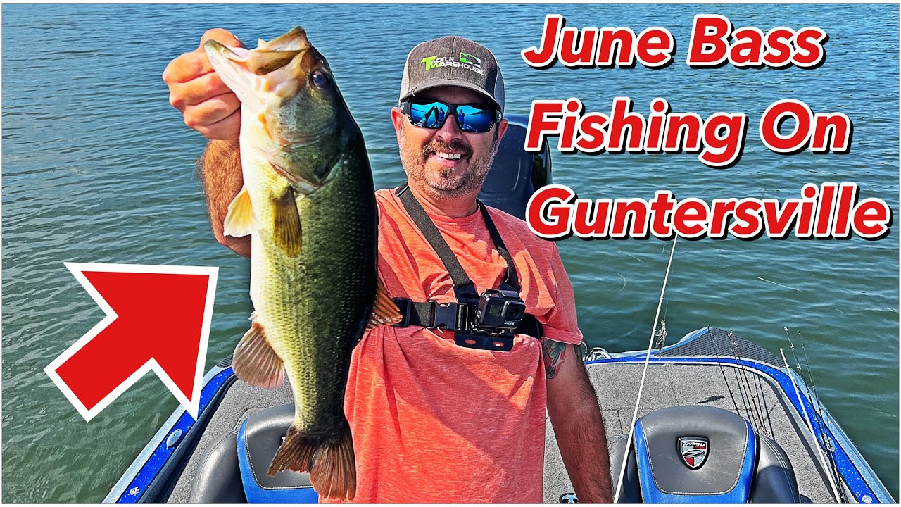 Lake Guntersville Bass Fishing Chatterbait And Frog Fishing YouTube