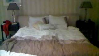 VID 00002 20091110 1752