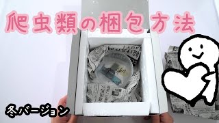 【爬虫類の梱包方法】スティーブ倶楽部の子が売れましたので冬場の梱包方法を紹介します♪駄菓子屋トカゲのおっさん DAGASI store! Gecko`s Uncle