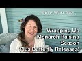 Wrapping Up Monarch Raising Season - Plus Butterfly Releases