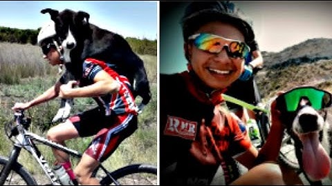 CICLISTA TROVA UN CANE SOLO E DISIDRATATO E LO SALVA CARICANDOLO SULLE SPALLE: La storia di Rodri