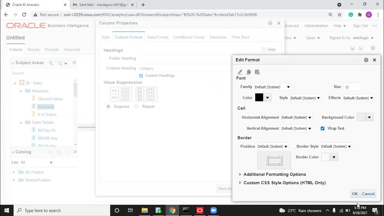 OBIEE 12c Reports Formatting & Types of report views class1 YouTube