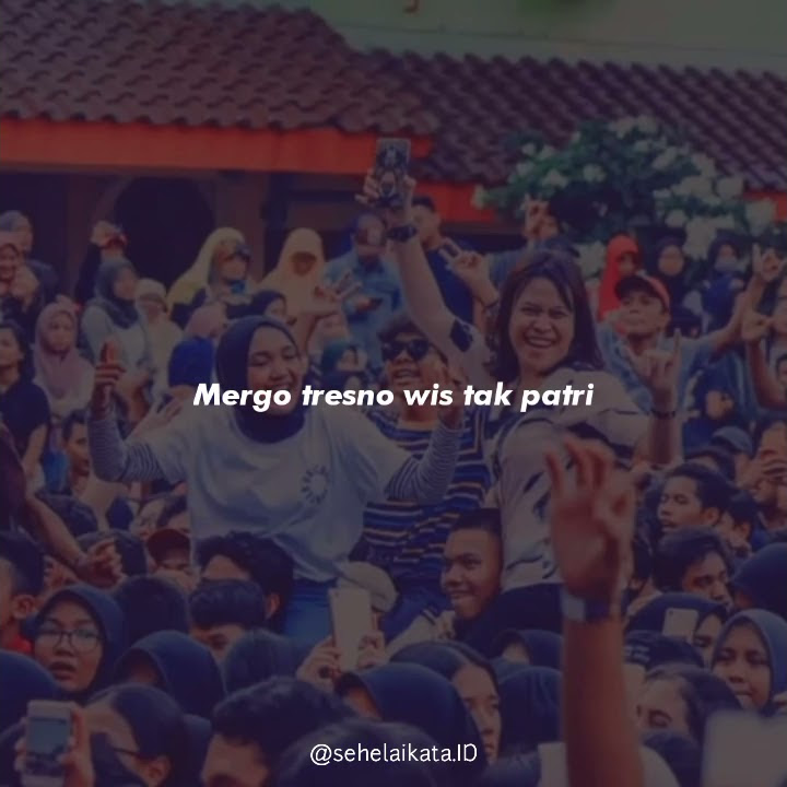 Story WA Lyrics Lagu Filter Tiktok Viral 30 Detik - Jujur Aku Iseh Sayang (Wegah kelangan) Dhevy G