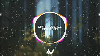 DFF - More Than I (feat. Oderle)
