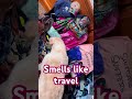 Labrador found suitcase #dogshorts #funny #dogmom #labradorretriever #pets #labrador @MOPENAROUND