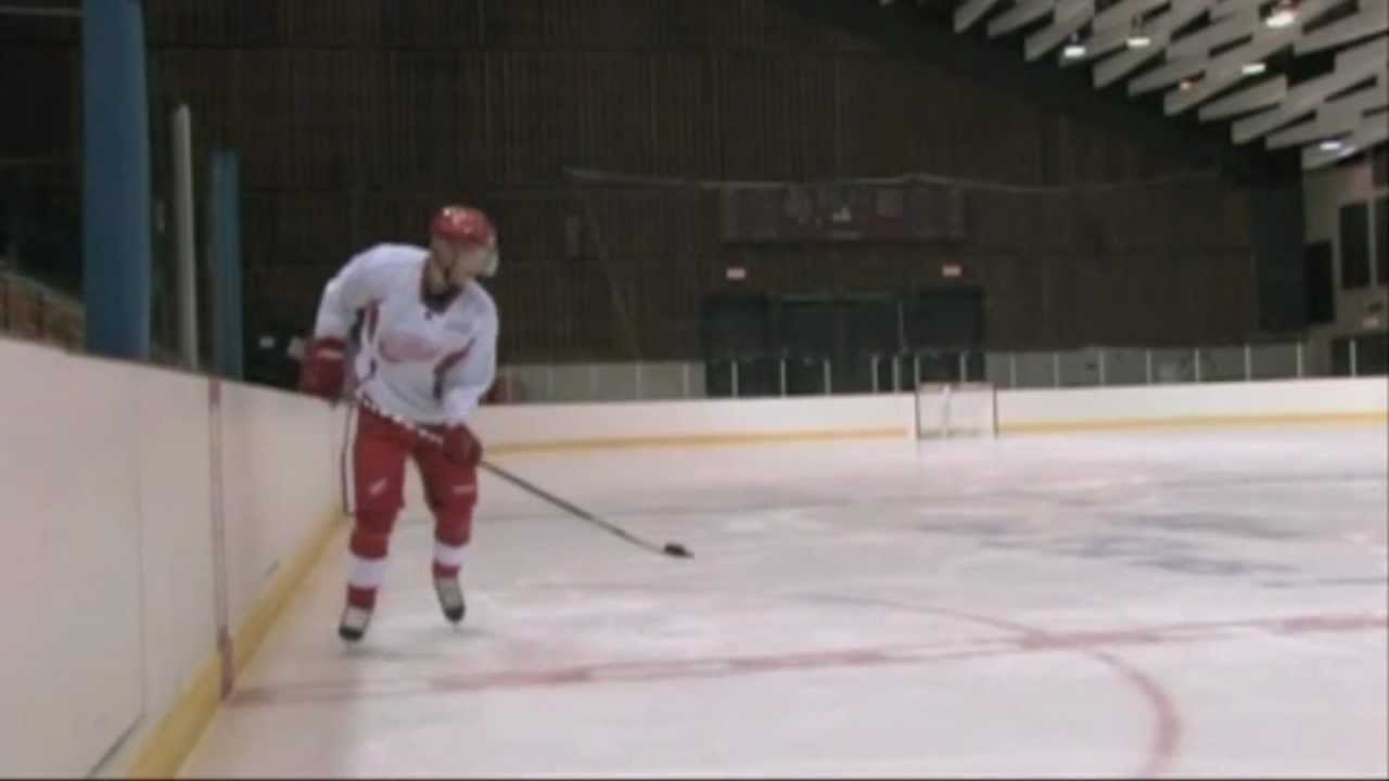 Pavel Datsyuk roofs a goal in the Winter Classic shootout 