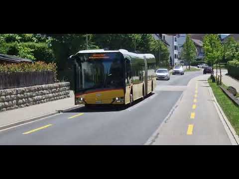 Mettmenstetten 15 Juni 2026