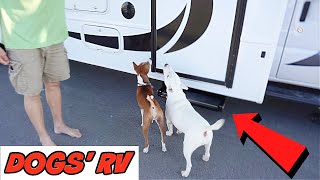 Dogs React to their New RV by Feenix the Funny Singing Dog 256 views 3 years ago 3 minutes, 30 seconds