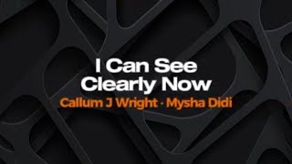 I Can See Clearly Now - Callum J Wright e Mysha Didi - Karaokê